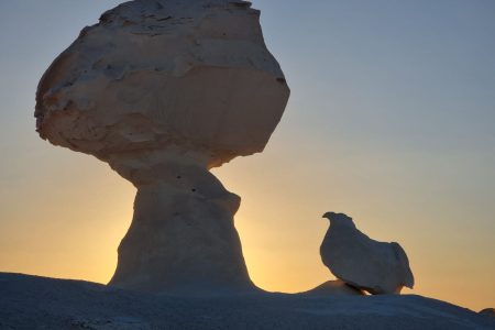 Cairo: 3 Days White Desert & Bahariya Oasis Private Tour- Code DLWDBOD 3