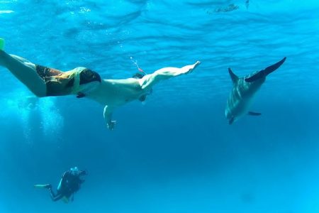 Dolphin House (Sho’ab Samadai) Snorkeling Adventure – Marsa Alam